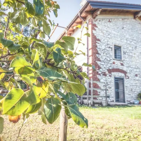 Bosco Antico *