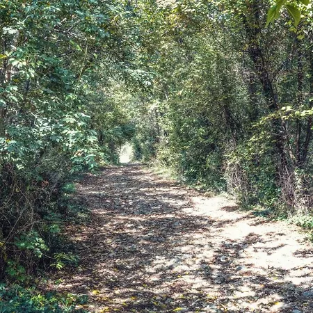 לינה וארוחת בוקר Bosco Antico Monteviale